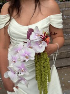 Jens Plants and florists