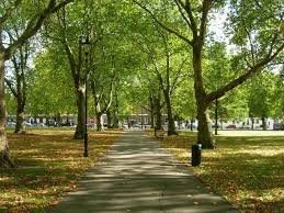 Things to Do in Highbury